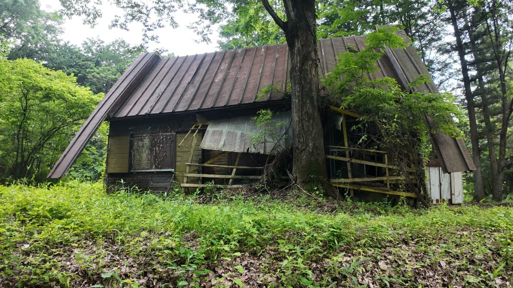 日光市沢又 築53年 空き家歴40年の別荘・戸建ての買取実績